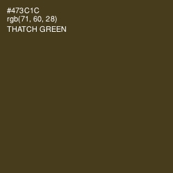 #473C1C - Thatch Green Color Image