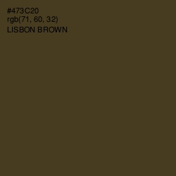 #473C20 - Lisbon Brown Color Image