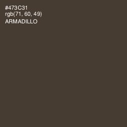 #473C31 - Armadillo Color Image
