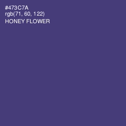 #473C7A - Honey Flower Color Image