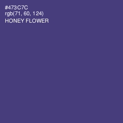 #473C7C - Honey Flower Color Image