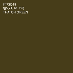 #473D19 - Thatch Green Color Image