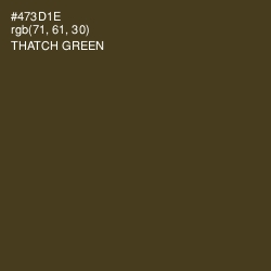 #473D1E - Thatch Green Color Image