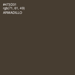 #473D31 - Armadillo Color Image