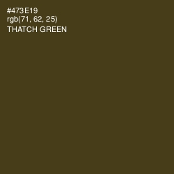 #473E19 - Thatch Green Color Image