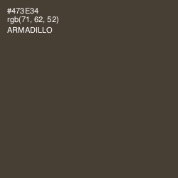#473E34 - Armadillo Color Image