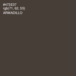 #473E37 - Armadillo Color Image