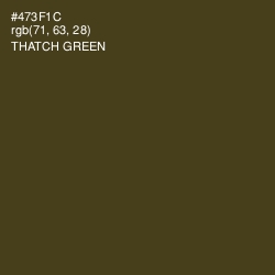 #473F1C - Thatch Green Color Image