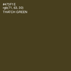 #473F1E - Thatch Green Color Image