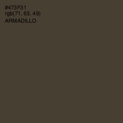 #473F31 - Armadillo Color Image