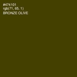 #474101 - Bronze Olive Color Image