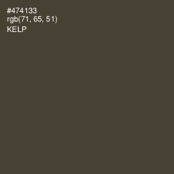 #474133 - Kelp Color Image