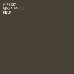 #474137 - Kelp Color Image