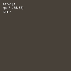 #47413A - Kelp Color Image