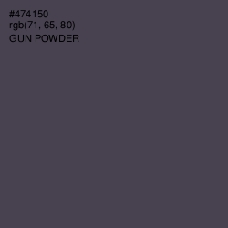 #474150 - Gun Powder Color Image