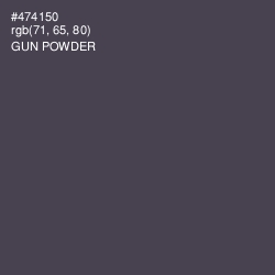 #474150 - Gun Powder Color Image