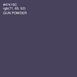 #47415C - Gun Powder Color Image