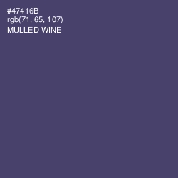 #47416B - Mulled Wine Color Image