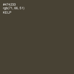 #474233 - Kelp Color Image