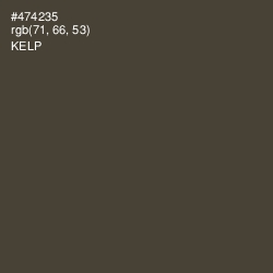 #474235 - Kelp Color Image