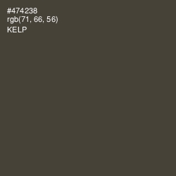 #474238 - Kelp Color Image