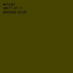 #474301 - Bronze Olive Color Image