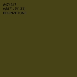 #474317 - Bronzetone Color Image