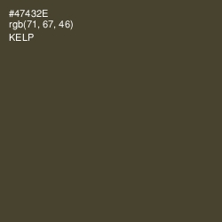 #47432E - Kelp Color Image
