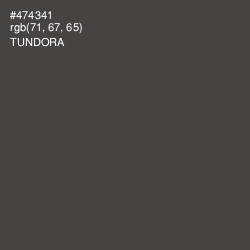 #474341 - Tundora Color Image