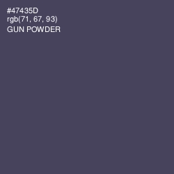 #47435D - Gun Powder Color Image