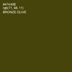 #47440B - Bronze Olive Color Image