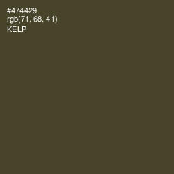 #474429 - Kelp Color Image