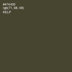 #474430 - Kelp Color Image
