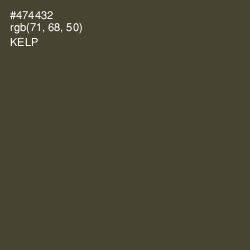 #474432 - Kelp Color Image