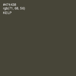 #474438 - Kelp Color Image