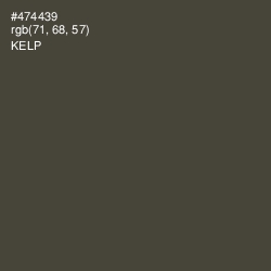 #474439 - Kelp Color Image