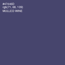 #47446D - Mulled Wine Color Image