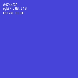 #4744DA - Royal Blue Color Image