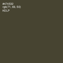 #474532 - Kelp Color Image