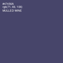 #47456A - Mulled Wine Color Image