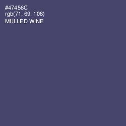 #47456C - Mulled Wine Color Image