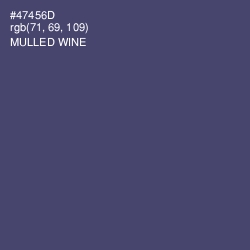 #47456D - Mulled Wine Color Image