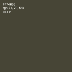 #474636 - Kelp Color Image