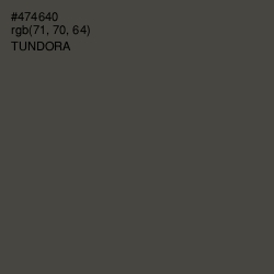 #474640 - Tundora Color Image