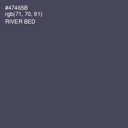 #47465B - River Bed Color Image