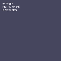 #47465F - River Bed Color Image