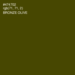 #474702 - Bronze Olive Color Image