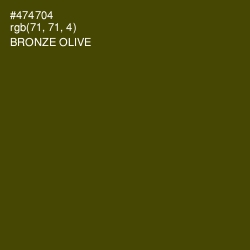 #474704 - Bronze Olive Color Image