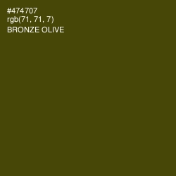 #474707 - Bronze Olive Color Image