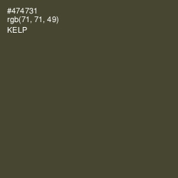 #474731 - Kelp Color Image